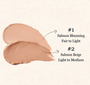 SKINFOOD Salmon Dark Circle Concealer Cream 10g